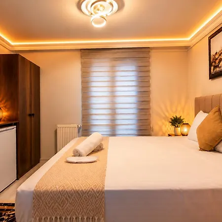 Hotel Aslan Kral & Istanbul